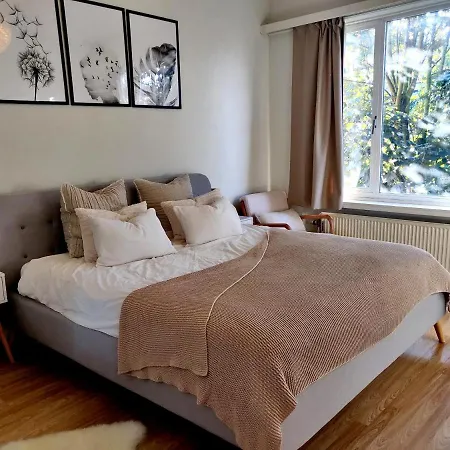 Cosy And Fully Equipped Near